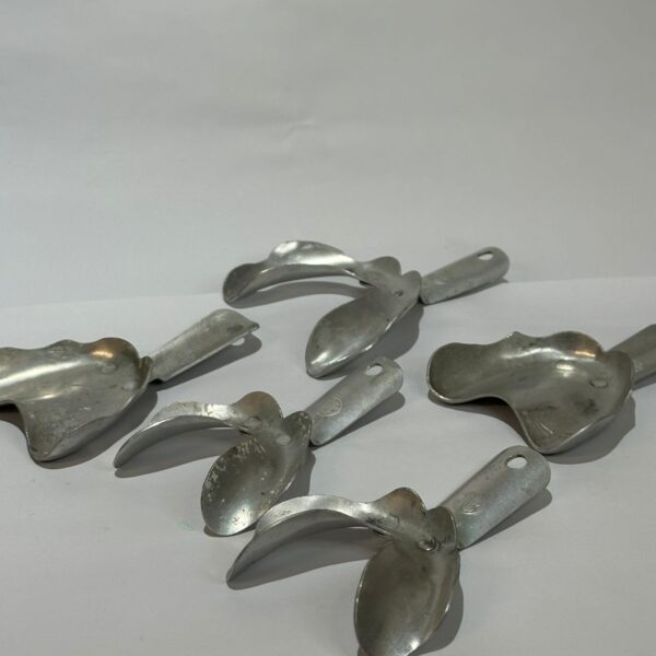 Moldeiras desdentados adulto (5 peças)