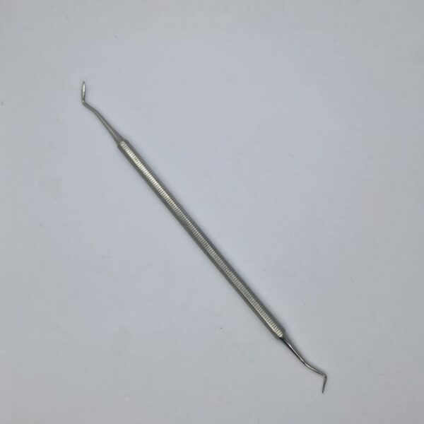 Esculpidor Hollemback 4